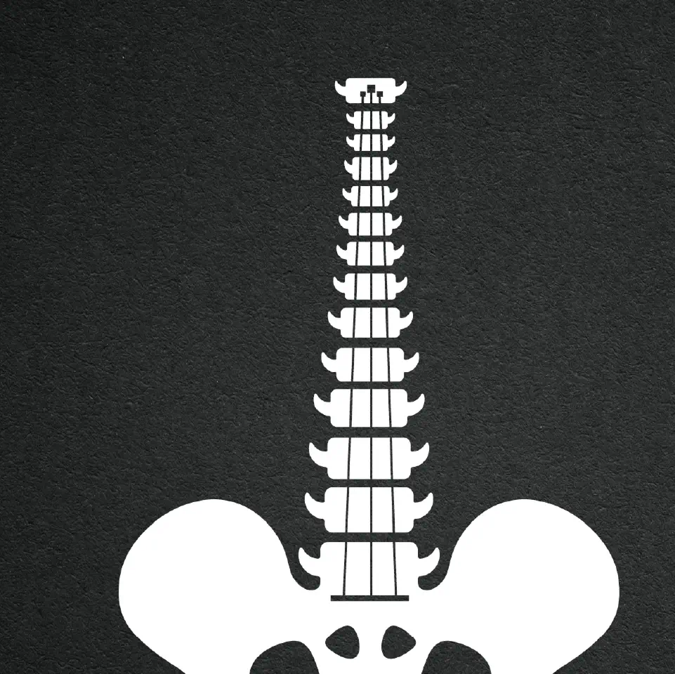 Bone-Symphony-Vitamin-D-Award-Winner-Health-Campaign