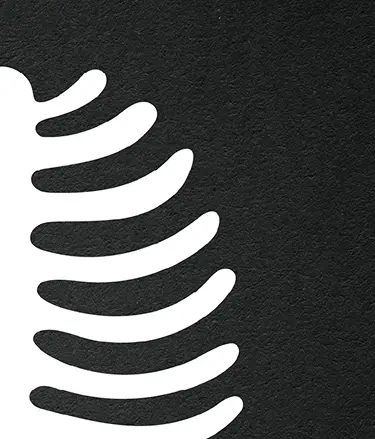 Bone-Symphony-Vitamin-D-Award-Winner-Health-Campaign