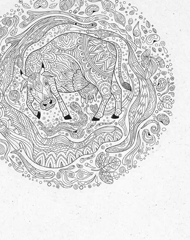 Vitamin-D-Sources-Award-Winner-Creative-Illustration-Campaign